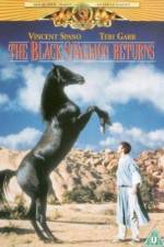 Watch The Black Stallion Returns Movie25