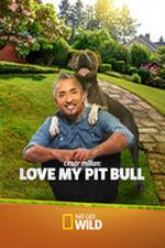 Watch Cesar Millan: Love My Pit Bull Movie25
