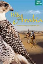Watch Wild Arabia Movie25