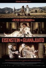 Watch Eisenstein in Guanajuato Movie25