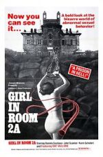 Watch The Girl in Room 2A Movie25