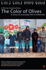 Watch The Color of Olives Movie25