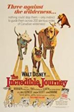 Watch The Incredible Journey Movie25