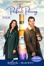 Watch The Perfect Pairing Movie25