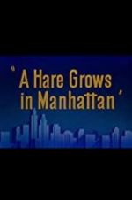 Watch A Hare Grows in Manhattan Movie25