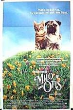 Watch Milo & Otis Movie25