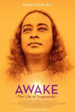Watch Awake: The Life of Yogananda Movie25
