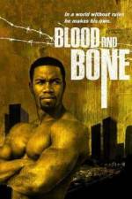 Watch Blood and Bone Movie25