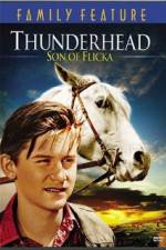 Watch Thunderhead - Son of Flicka Movie25