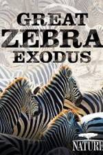 Watch Nature: Great Zebra Exodus Movie25