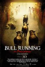 Watch Encierro 3D: Bull Running in Pamplona Movie25