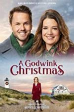 Watch A Godwink Christmas Movie25