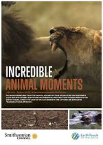 Watch Incredible Animal Moments Movie25