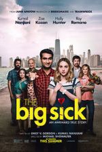 Watch The Big Sick Movie25
