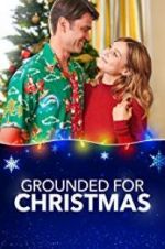 Watch Grounded for Christmas Movie25