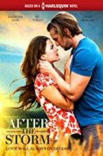 Watch After the Storm Movie25