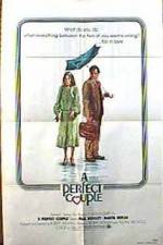 Watch A Perfect Couple Movie25