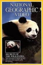 Watch Secrets of the Wild Panda Movie25