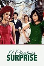 Watch A Christmas Surprise Movie25