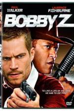 Watch The Death and Life of Bobby Z Movie25
