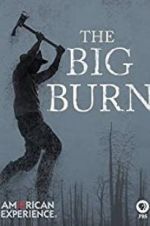 Watch American Experience: The Big Burn Movie25