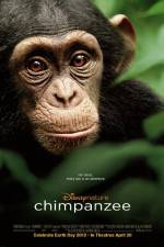 Watch Chimpanzee Movie25