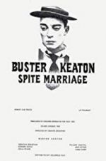 Watch Spite Marriage Movie25