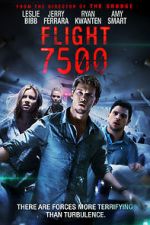 Watch Flight 7500 Movie25