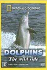 Watch Dolphins: The Wild Side Movie25
