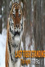 Watch Discovery Channel-Last Tiger Standing Movie25