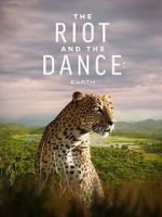Watch The Riot and the Dance Movie25