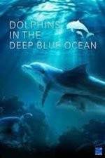 Watch Dolphins in the Deep Blue Ocean Movie25