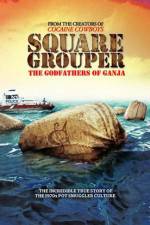 Watch Square Grouper Movie25