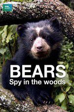 Watch Bears: Spy in the Woods Movie25