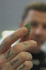 Watch Professor Green: Is It Time to Legalise Weed? Movie25