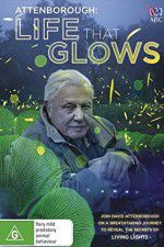 Watch Attenborough\'s Life That Glows Movie25