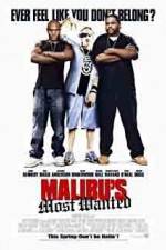 Watch Malibu's Most Wanted Movie25