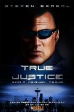 Watch True Justice: Brotherhood Movie25