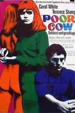 Watch Poor Cow Movie25
