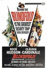 Watch Blindfold Movie25