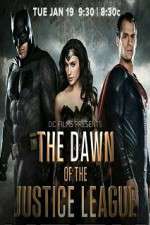 Watch Dawn of the Justice League Movie25