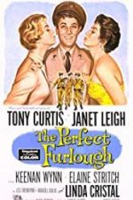 Watch The Perfect Furlough Movie25