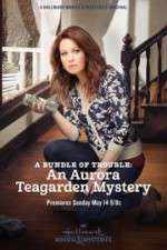 Watch A Bundle of Trouble: An Aurora Teagarden Mystery Movie25