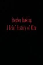Watch Stephen Hawking A Brief History of Mine Movie25