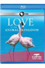 Watch Nature: Love in the Animal Kingdom Movie25