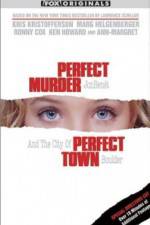 Watch Perfect Murder Perfect Town JonBenet and the City of Boulder Movie25