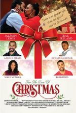 Watch For the Love of Christmas Movie25
