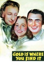 Watch Gold Is Where You Find It Movie25