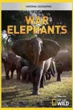 Watch War Elephants Movie25