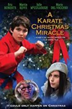 Watch A Karate Christmas Miracle Movie25